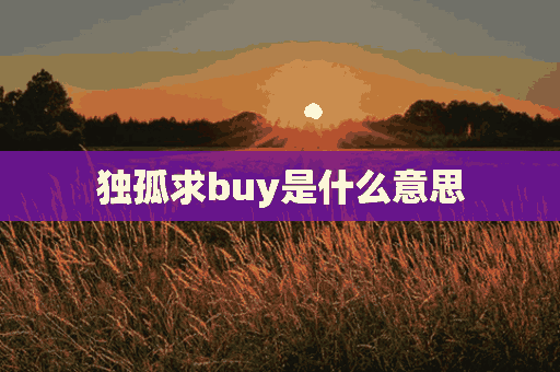 独孤求buy是什么意思